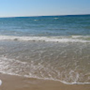 Meet your Posher, Zissy